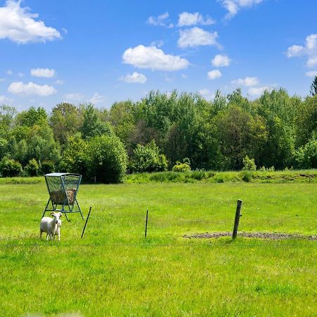 A Lovely Cottage On The Dwingelderveld Nature Park Beilen Екстер'єр фото