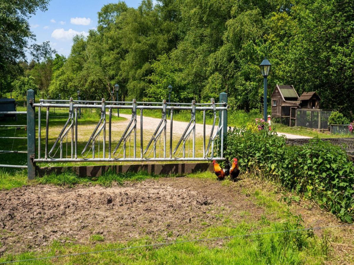 A Lovely Cottage On The Dwingelderveld Nature Park Beilen Екстер'єр фото