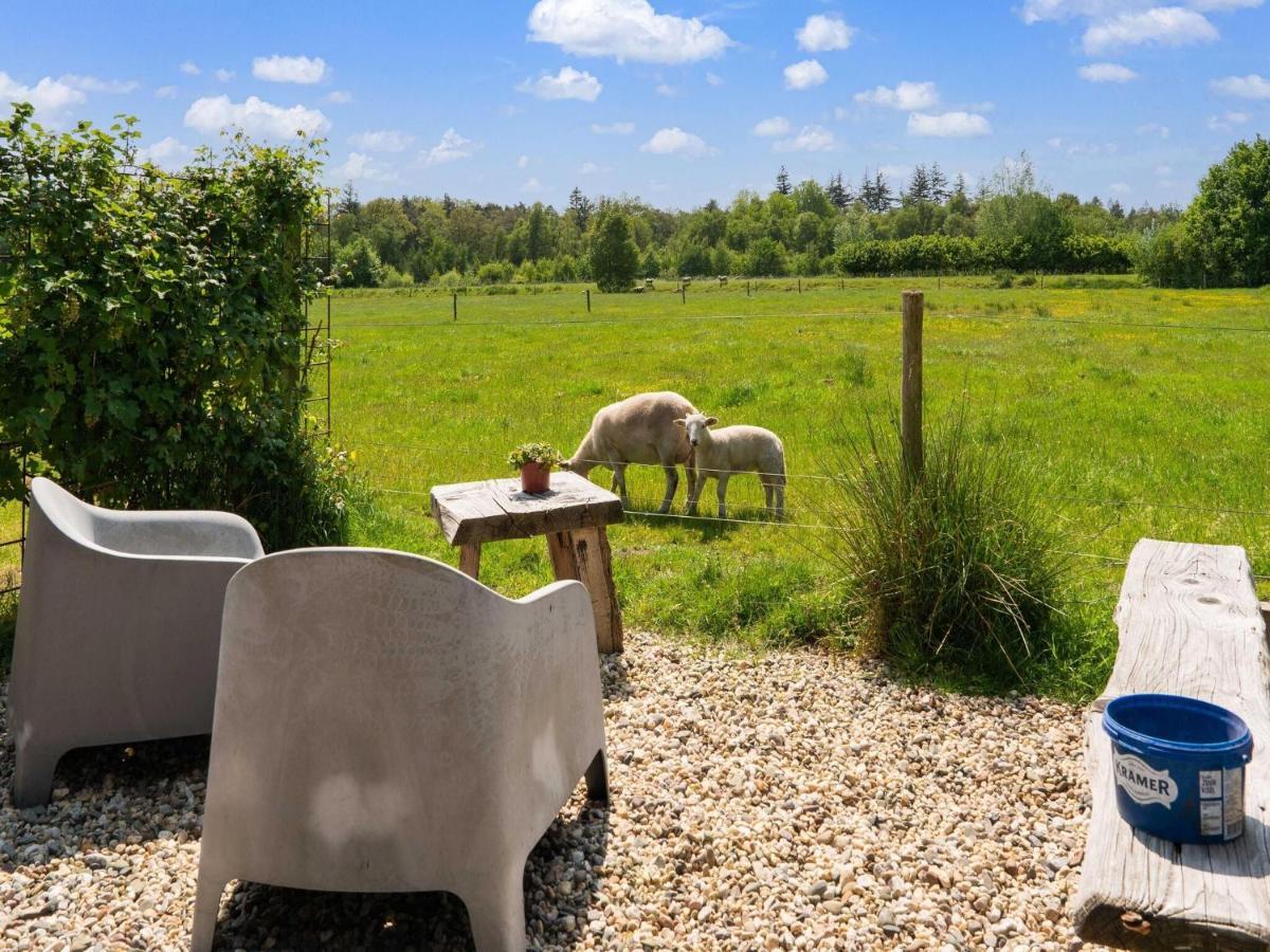 A Lovely Cottage On The Dwingelderveld Nature Park Beilen Екстер'єр фото
